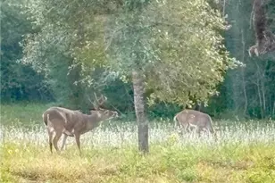 725 Private Rd 1581, Hallettsville, TX 77964 - Photo 21