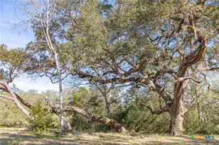725 Private Rd 1581, Hallettsville, TX 77964 - Photo 15