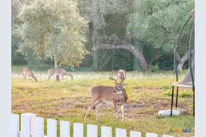 725 Private Road 1581, Hallettsville, TX 77964 - Photo 19