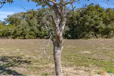 725 Private Road 1581, Hallettsville, TX 77964 - Photo 27