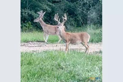 725 Private Road 1581, Hallettsville, TX 77964 - Photo 29