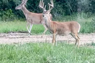 725 Private Rd 1581, Hallettsville, TX 77964 - Photo 29