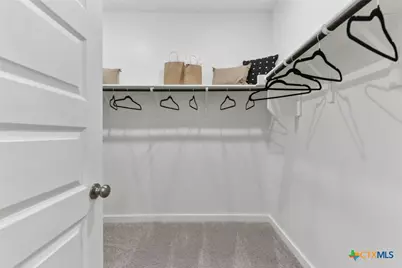 117 Cutleaf Cove, San Marcos, TX 78666 - Photo 9