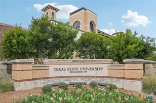 117 Cutleaf Cove, San Marcos, TX 78666 - Photo 19