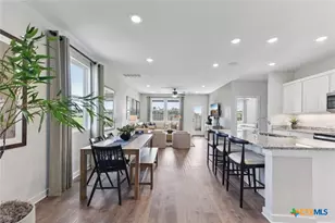 117 Cutleaf Cove, San Marcos, TX 78666 - Photo 5