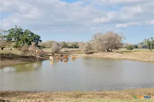 Tbd Cr 405, Flatonia, TX 78941 - Photo 7