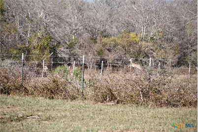 Tbd Cr 405, Flatonia, TX 78941 - Photo 19