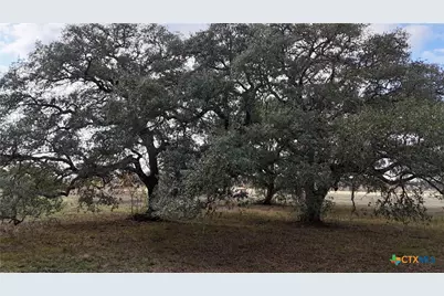 Tbd Cr 405, Flatonia, TX 78941 - Photo 11