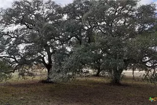 Tbd Cr 405, Flatonia, TX 78941 - Photo 11