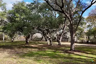 Tbd Cr 405, Flatonia, TX 78941 - Photo 41