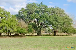 Tbd Cr 405, Flatonia, TX 78941 - Photo 31