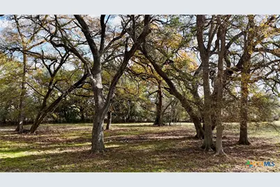 Tbd Cr 405, Flatonia, TX 78941 - Photo 47