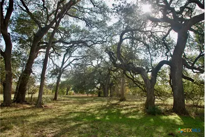 Tbd Cr 405, Flatonia, TX 78941 - Photo 5