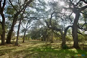 Tbd Cr 405, Flatonia, TX 78941 - Photo 5