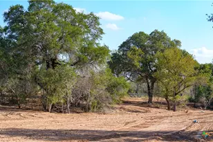 3638 Fm 2579, Floresville, TX 78114 - Photo 9