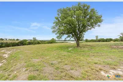 10135 Sweet Lilly Trail, Temple, TX 76557 - Photo 7