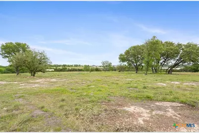 10134 Sweet Lilly Trail, Temple, TX 76557 - Photo 9