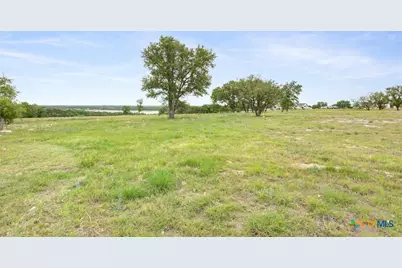 10134 Sweet Lilly Trail, Temple, TX 76557 - Photo 7