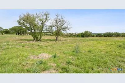 10237 Homesteader Road, Temple, TX 76557 - Photo 7