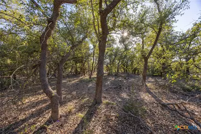 130 Panorama Drive, Wimberley, TX 78676 - Photo 7