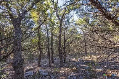 130 Panorama Drive, Wimberley, TX 78676 - Photo 11