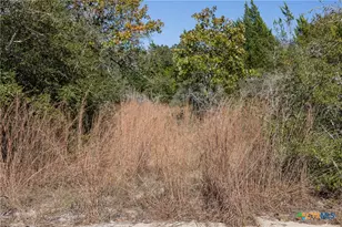 555 Altamira Ln, Dale, TX 78616 - Photo 23