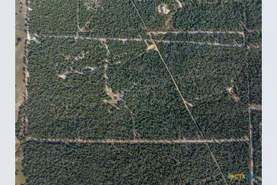 555 Altamira Lane, Dale, TX 78616 - Photo 9