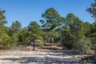 555 Altamira Ln, Dale, TX 78616 - Photo 1
