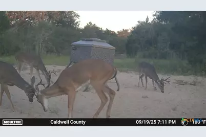 555 Altamira Lane, Dale, TX 78616 - Photo 39