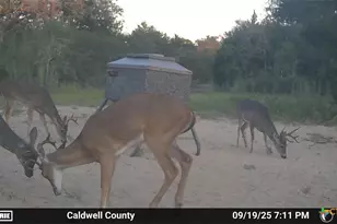 555 Altamira Ln, Dale, TX 78616 - Photo 39