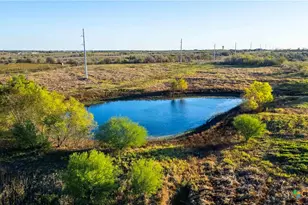 3191 Co Rd 463, Elgin, TX 78621 - Photo 9