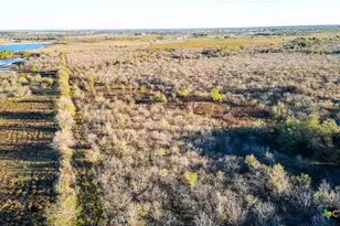 3191 Co Rd 463, Elgin, TX 78621 - Photo 13