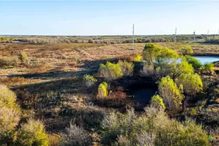 3191 Co Rd 463, Elgin, TX 78621 - Photo 11