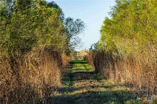 3191 Co Rd 463, Elgin, TX 78621 - Photo 7