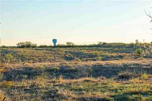 3191 Co Rd 463, Elgin, TX 78621 - Photo 3