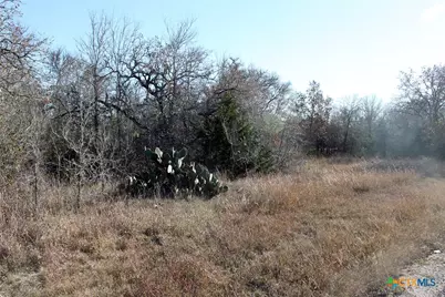 100 Track Road, Dale, TX 78616 - Photo 3