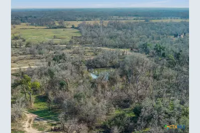 1144 Treetop Lane, Luling, TX 78648 - Photo 43