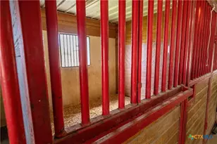 404 Annies Ln, La Vernia, TX 78121 - Photo 25