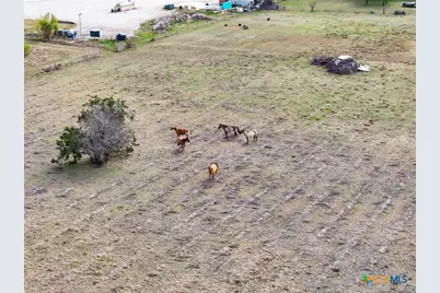 5542 Fm 2484, Salado, TX 76571 - Photo 11