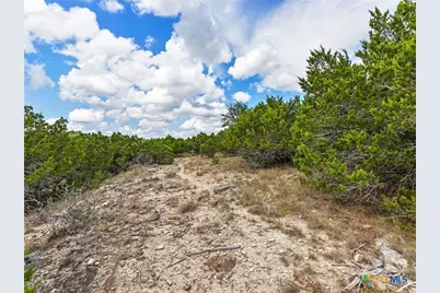 331 Ridge Point, Spring Branch, TX 78070 - Photo 7