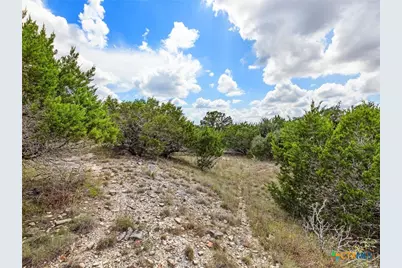 331 Ridge Point, Spring Branch, TX 78070 - Photo 9