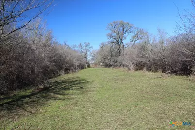 1223 County Road 429, Dime Box, TX 77853 - Photo 7