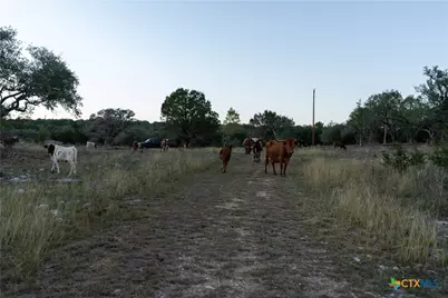 905 Hugo Road, San Marcos, TX 78666 - Photo 15