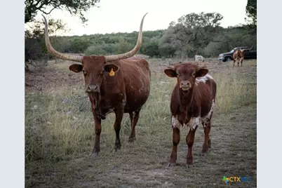 905 Hugo Road, San Marcos, TX 78666 - Photo 19