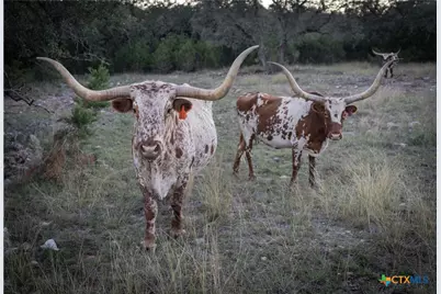 905 Hugo Road, San Marcos, TX 78666 - Photo 21