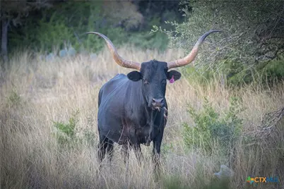 905 Hugo Road, San Marcos, TX 78666 - Photo 35