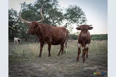 905 Hugo Road, San Marcos, TX 78666 - Photo 31