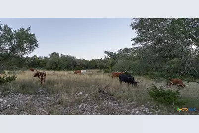 905 Hugo Road, San Marcos, TX 78666 - Photo 29