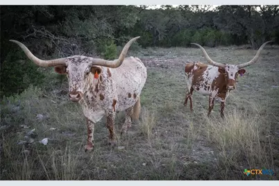 905 Hugo Road, San Marcos, TX 78666 - Photo 13