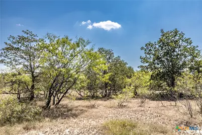 Tbd Lot 2 Track Road, Dale, TX 78616 - Photo 9